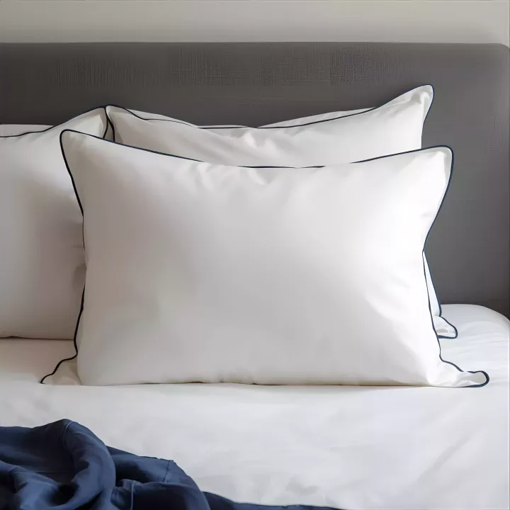 Compagnon : Coussin 3 en 1