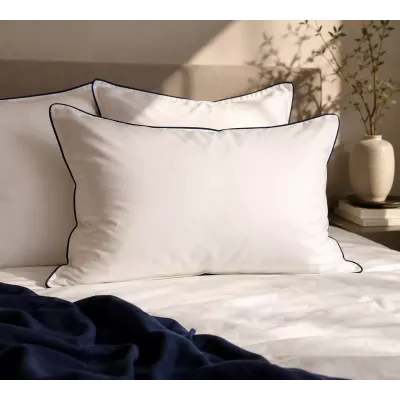 Compagnon : Coussin 3 en 1